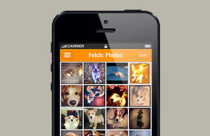 Corgi Fetch App Screenshot